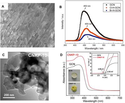 Recent progress in the design of photocatalytic H2O2 synthesis system